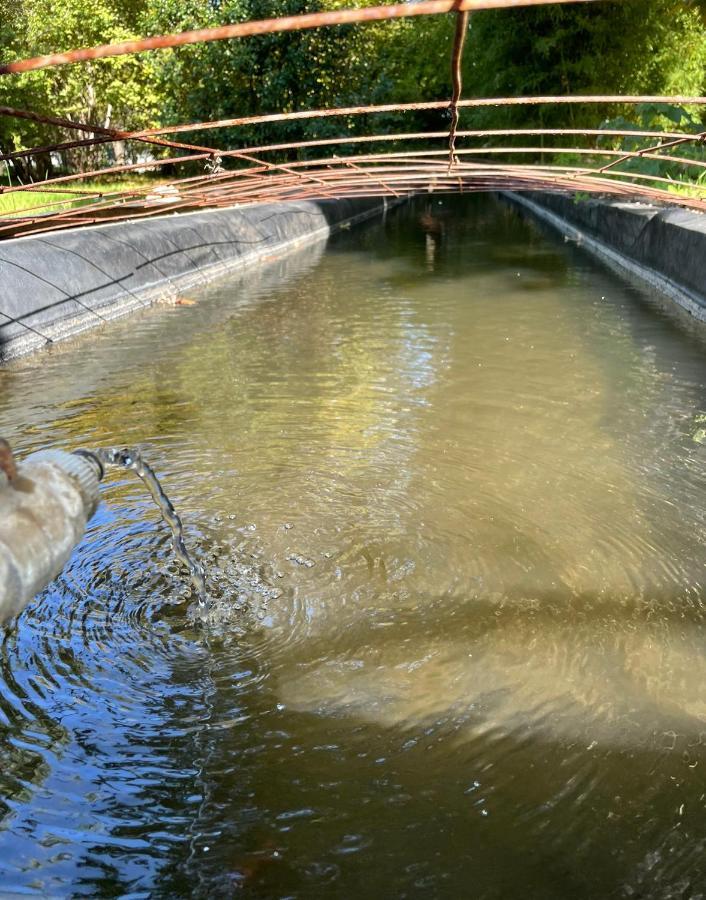 Bastide Beaudinard Acomodação com café da manhã Aubagne Exterior foto